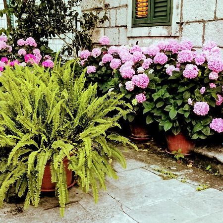 Apartments Sensa Ντουμπρόβνικ Εξωτερικό φωτογραφία