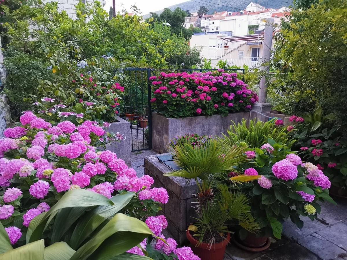 Apartments Sensa Ντουμπρόβνικ Εξωτερικό φωτογραφία